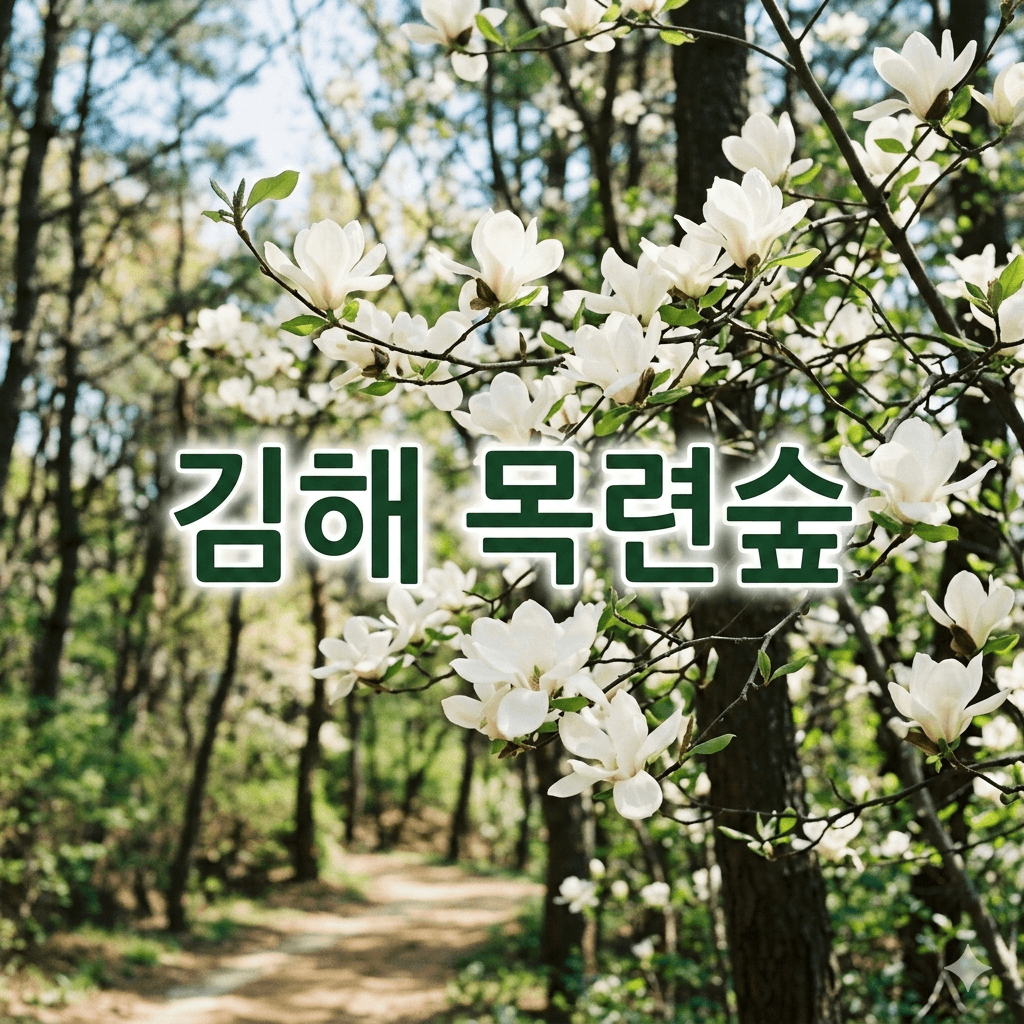 김해 목련숲