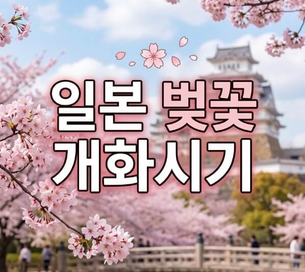 일본 벚꽃 개화시기