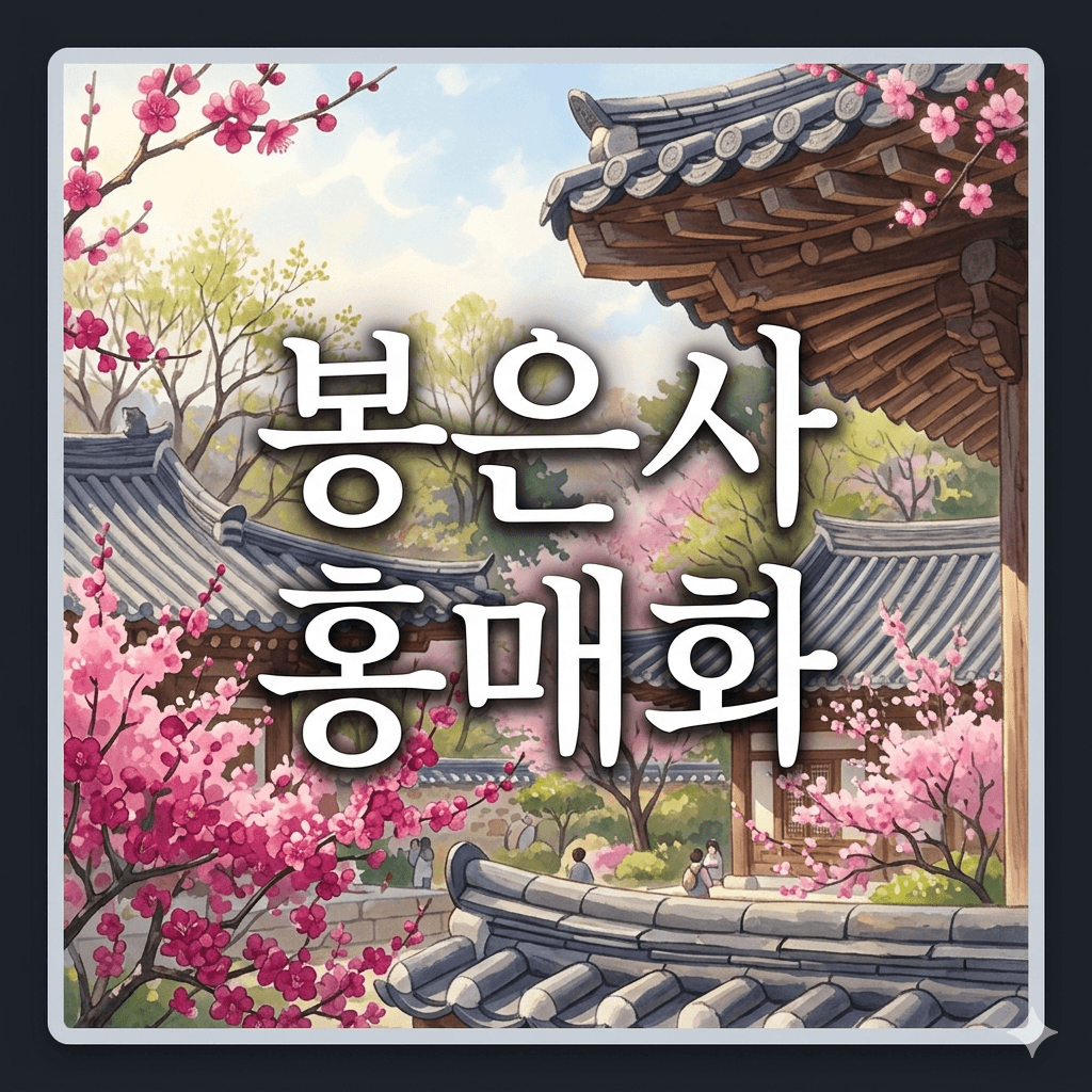 봉은사 홍매화