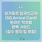 싱가포르 입국신고서