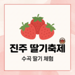 진주 딸기축제] 수곡 딸기 체험