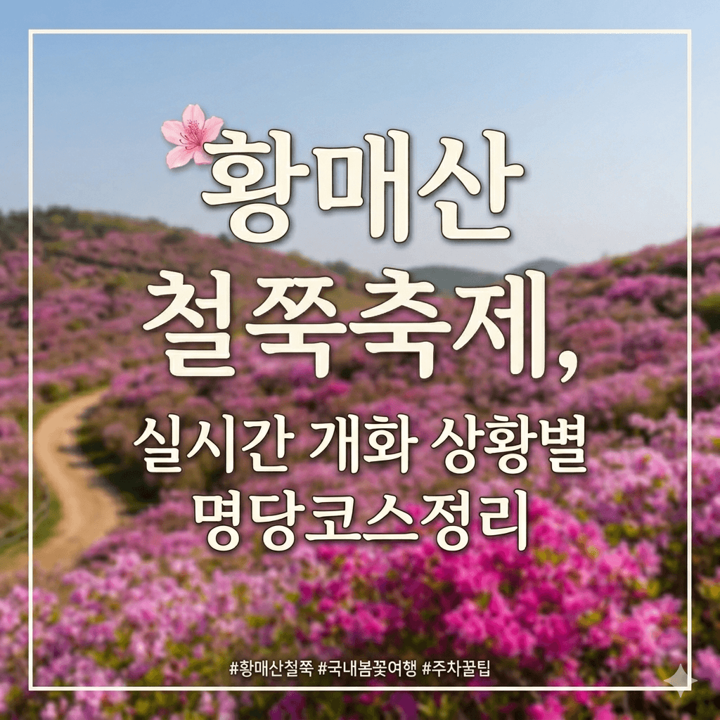 황매산 철쭉축제