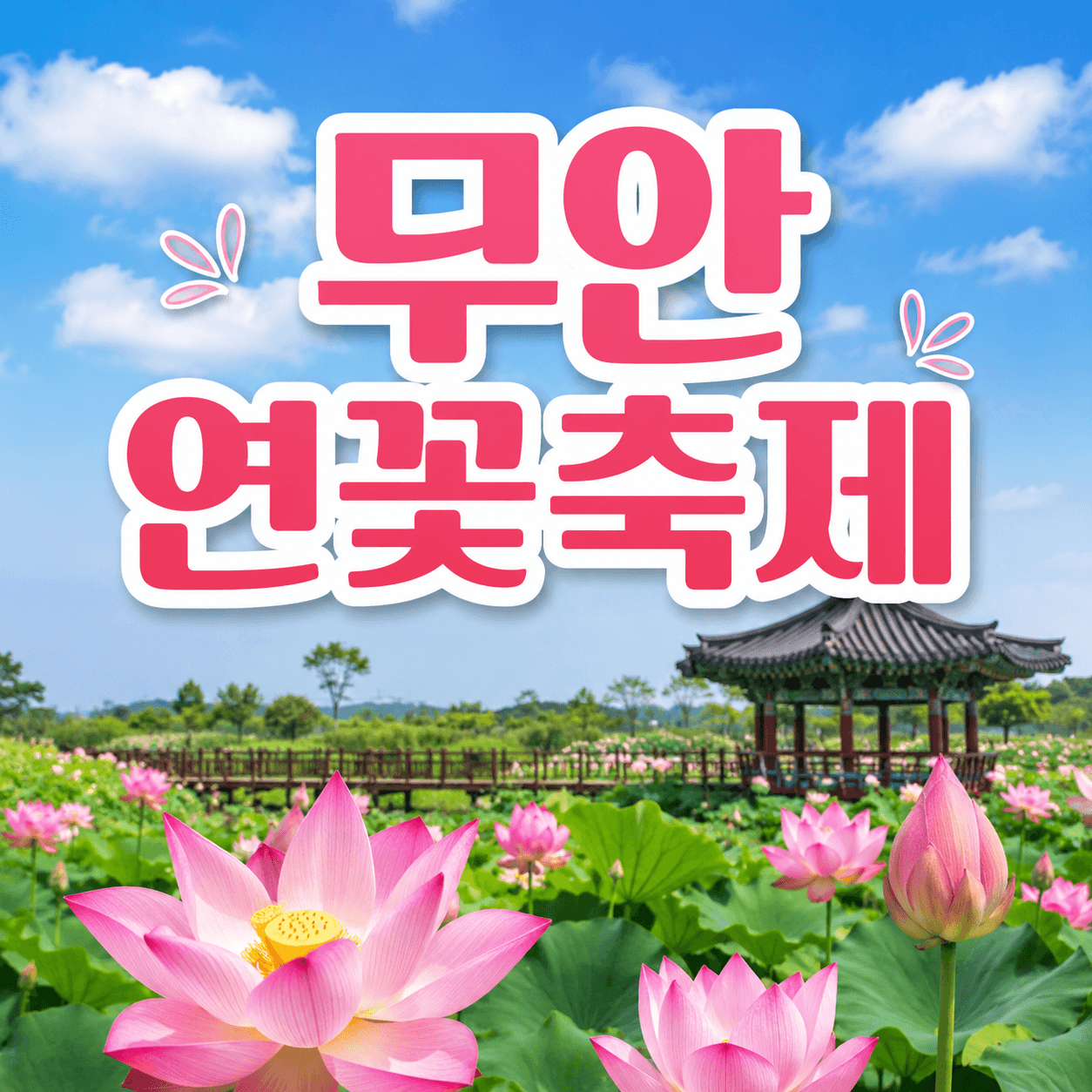 무안연꽃축제