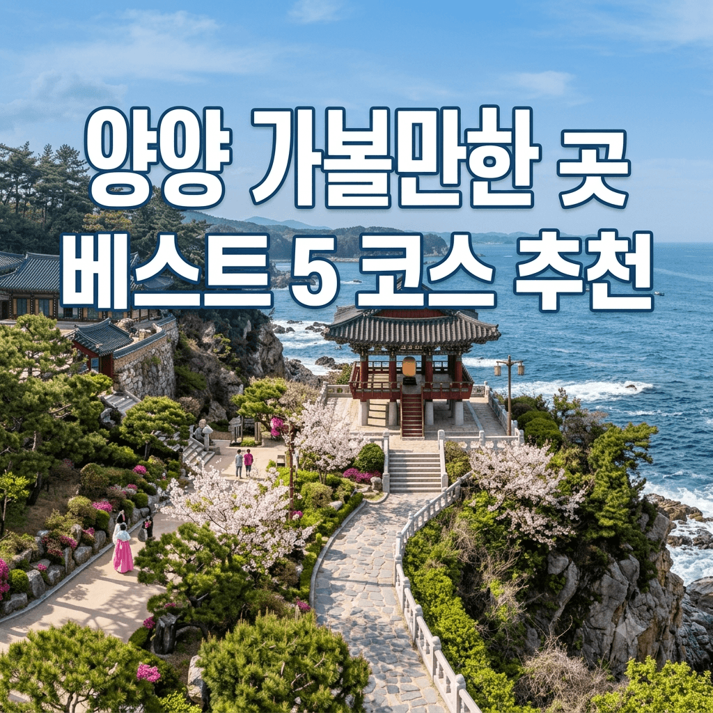 양양 가볼만한 곳