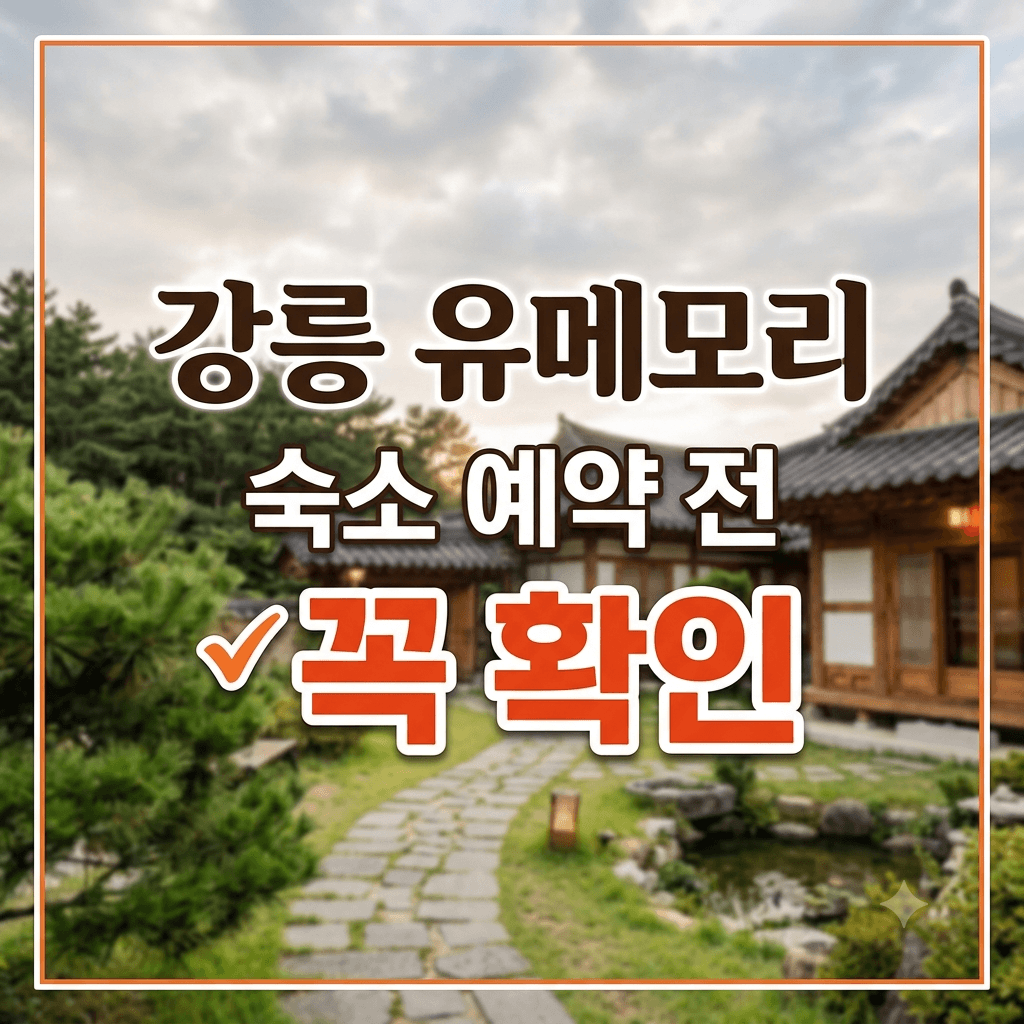 강릉 유메로리 숙소
