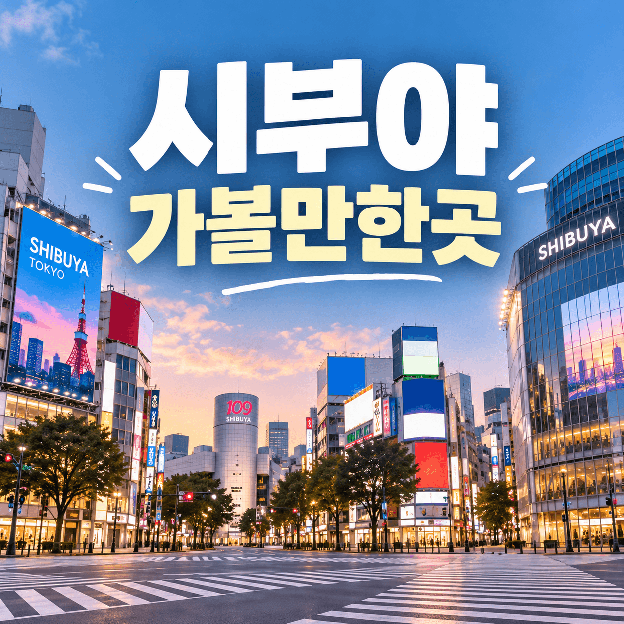 시부야 가볼만한곳